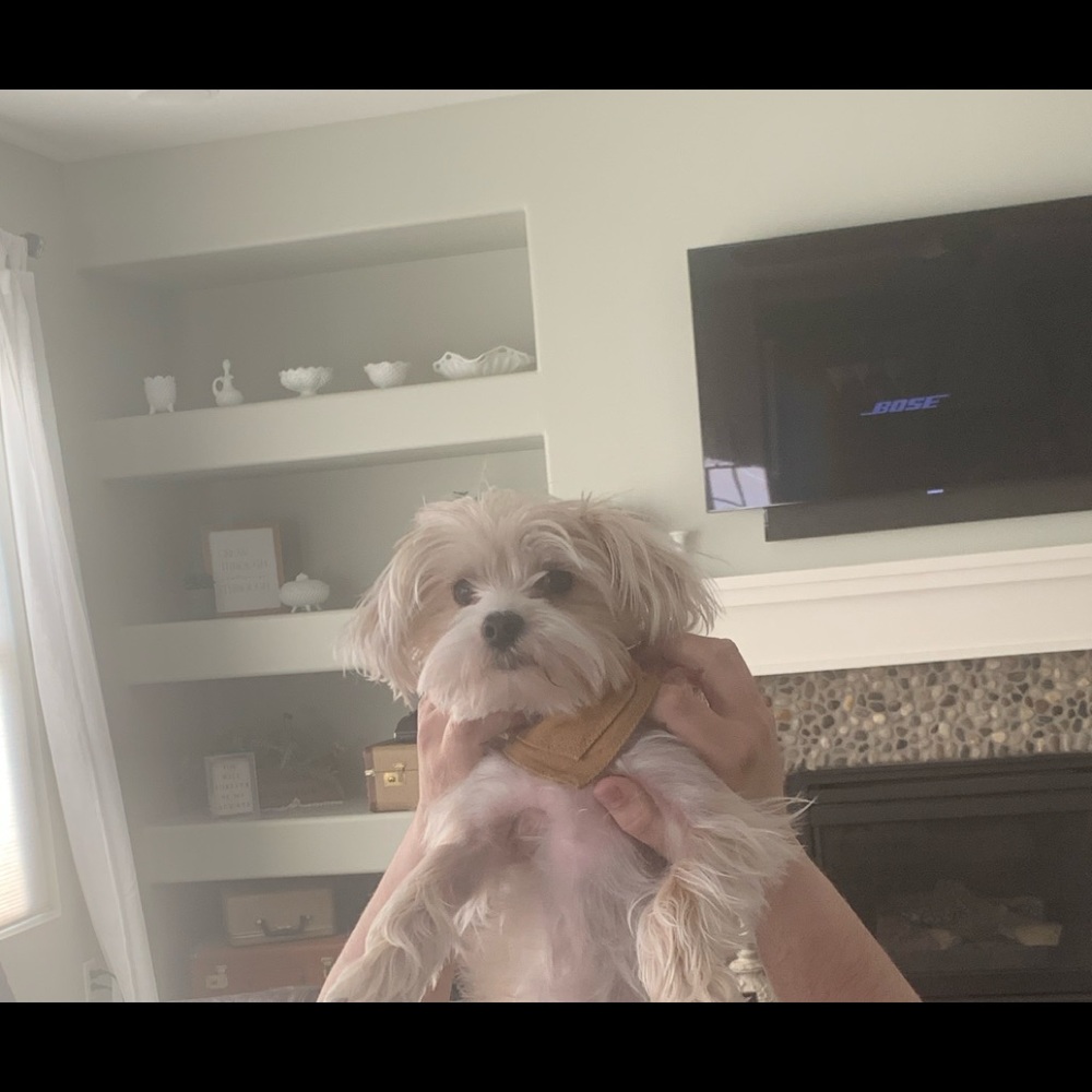 Meet your Posher, Kaidence